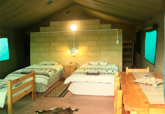 Safari Tents