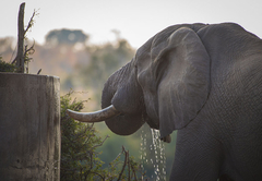 Ku Sungula Safari Lodge