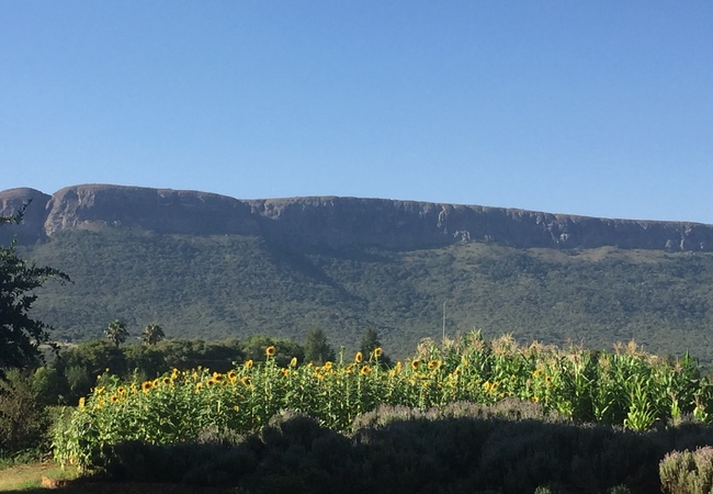 Magaliesberg view