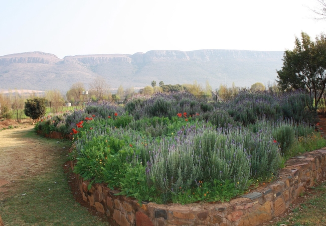 Magaliesberg view