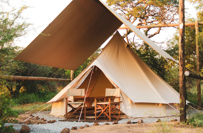 Leadwood Safari Camp