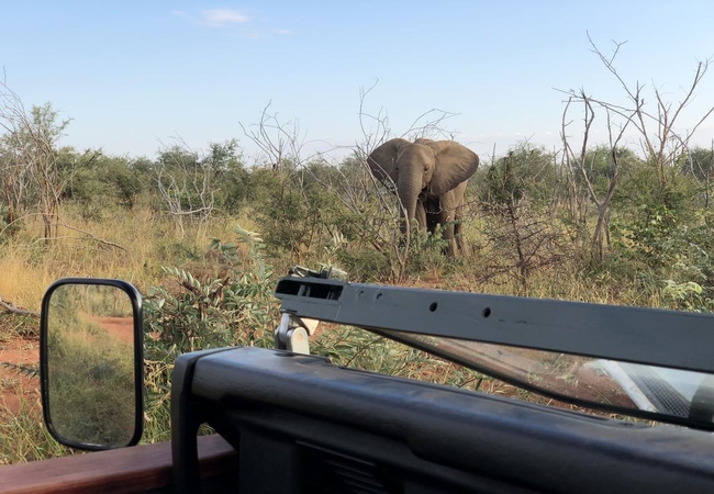 On Safari with Lengau Lodge