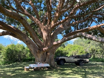 Leopard's Bend Bush Lodge