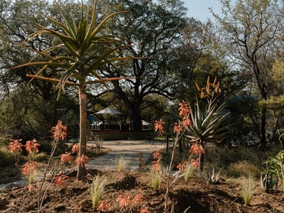 Leopard's Bend Bush Lodge