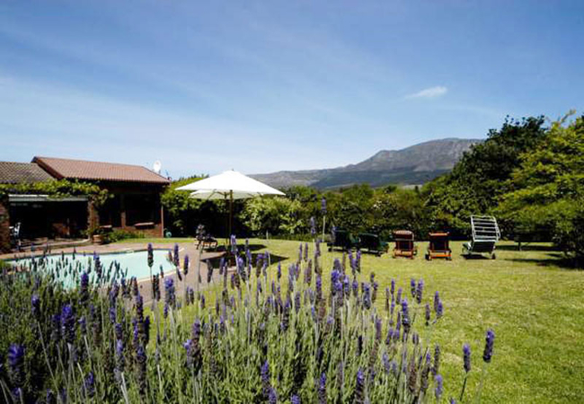 View from 4 front rooms overlooking Constantiaberg Mountain