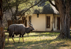 Letlapa Kingfisher Lodge