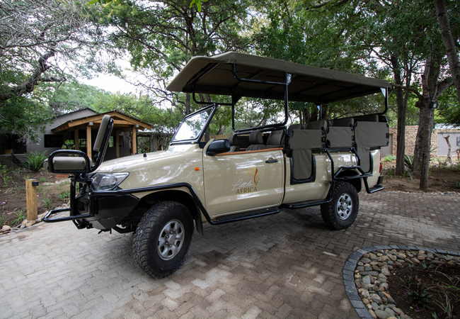 game drive vehicles