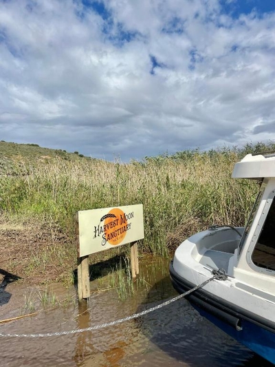 Living The Breede Houseboats