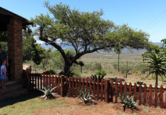 Lucky Bean Tree Cottage