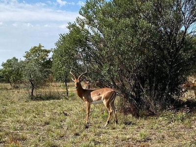 Mabalingwe Utopia