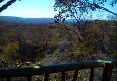 Madikela Game Lodge