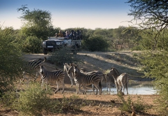 Madikwe Safari Lodge