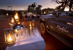 Madikwe Safari Lodge