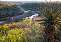 Magari Bush Villa