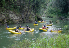 Magoebaskloof Adventures Chalets