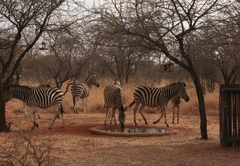 Makhato 84 Bush Lodge