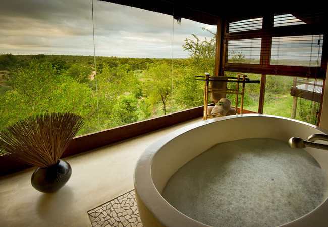 Bath with a view