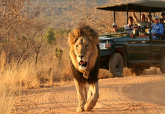 Game Drive