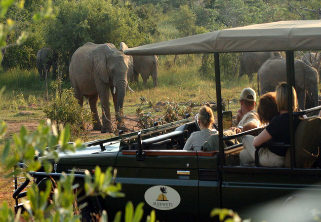 Game Drive