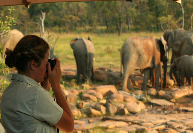 Game Viewing from deck