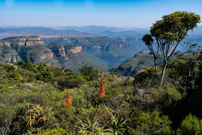 Marepe Mountain View