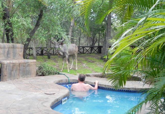 Marloth Kruger Little Manor