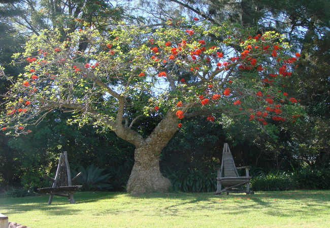 Marula Lodge