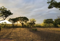 Mashudu Lodge