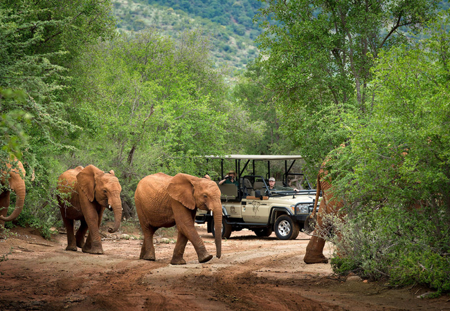 Mbazo Lodge