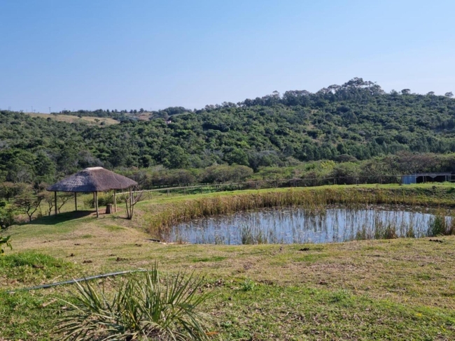 Mela Luxury Game Lodge