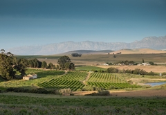 Kalmoesfontein