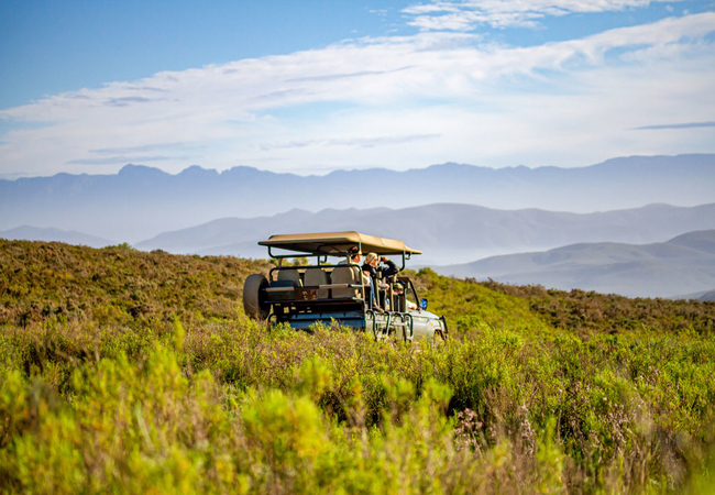 Melozhori Private Game Reserve Lodge