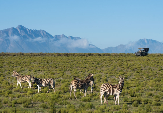 Melozhori Private Game Reserve Lodge