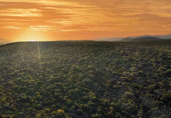 Melozhori Private Game Reserve Lodge