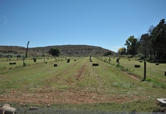 On the farm