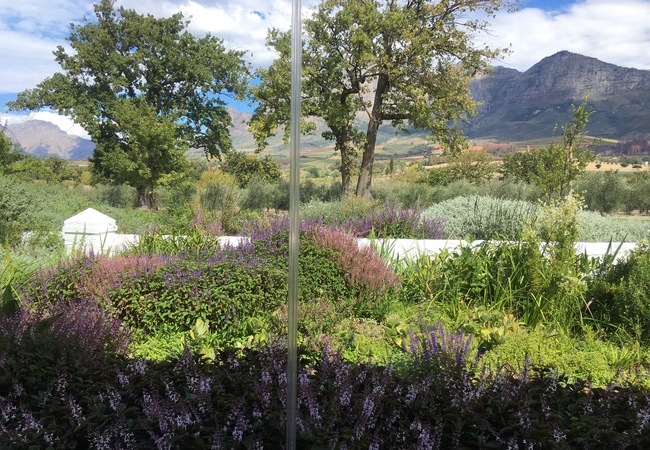 Lovely Franschhoek views