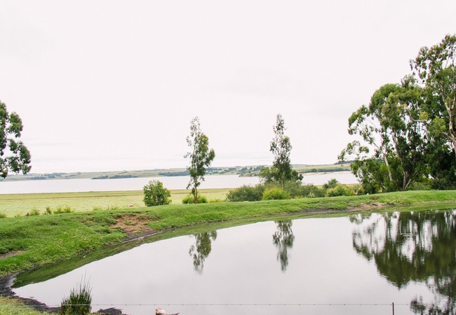 Pond overlooking Lake Chrissiesmeer