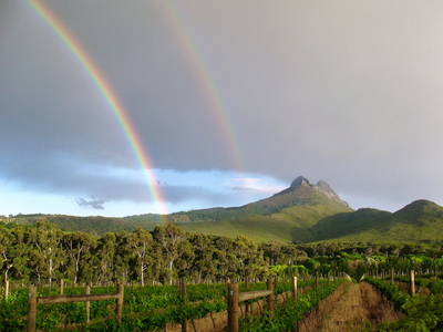 Mitre's Edge Wine Estate