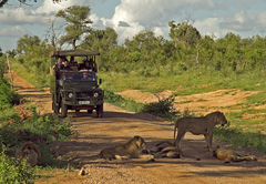 Mjejane River Lodge