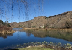 Mkomazana Mountain Cottages