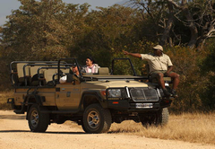 game drive