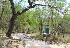 Moholoholo Mountain View