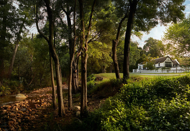 MolenVliet Family Vineyards