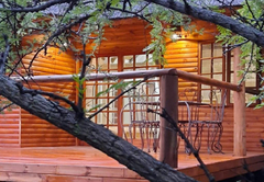 Monkey Thorn Cabin