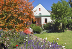 Montagu Vines Guesthouse 