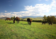 Montusi Mountain Lodge