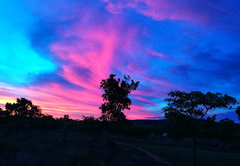 Monyane Lodge