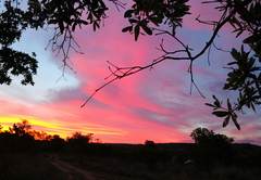 Monyane Lodge