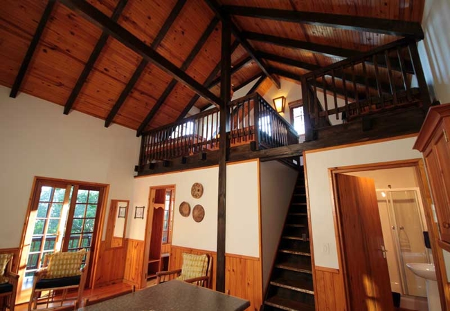 Tree Frog Forest Cabin Interior