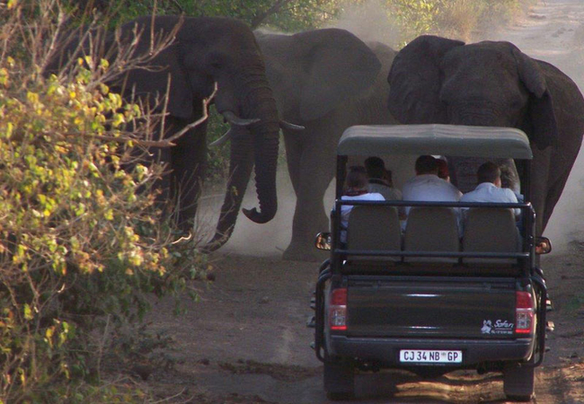 Mopane Bush Lodge